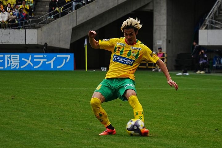 画像: 椿（写真：縄手猟）