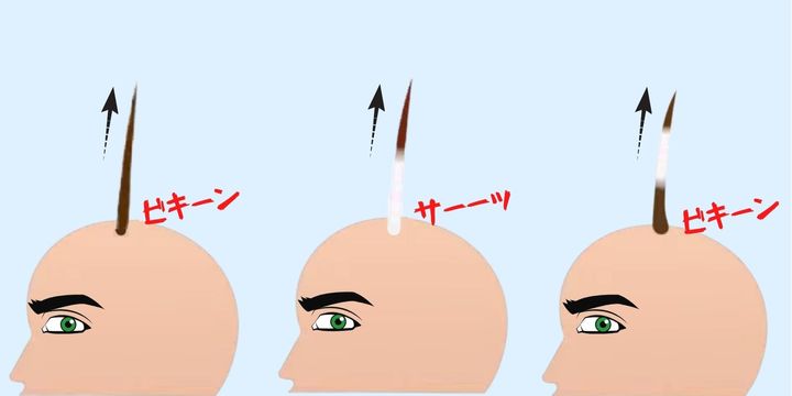 脱ストレスで白髪が黒髪に戻ると判明！ 精神とミトコンドリアの意外な関係が明らかに