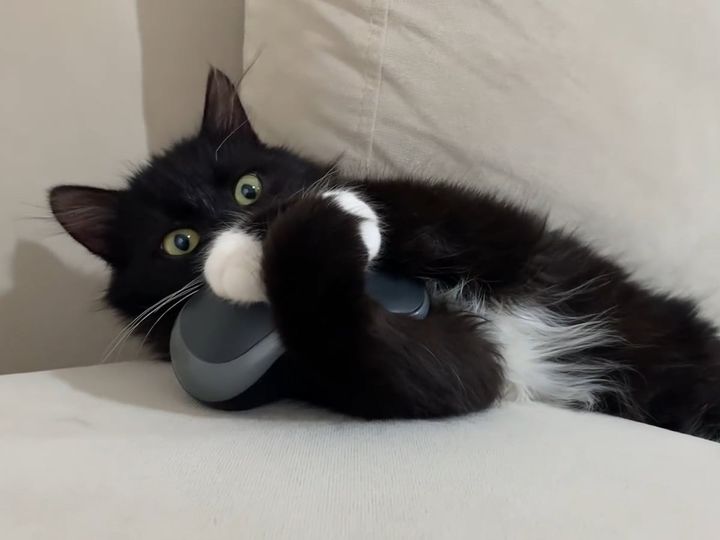 ぎゅっとハグ！