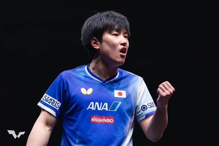 張本智和（C）WTT