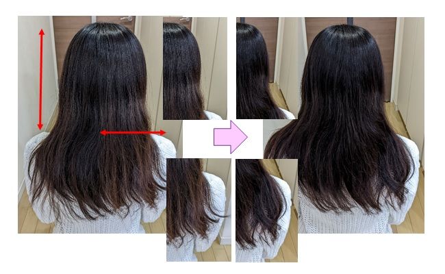髪の比較写真