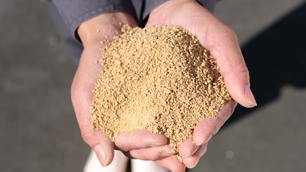 常識を覆す“生でおいしい”うずらのたまごが、首都圏の「マルエツプチ」で販売開始！