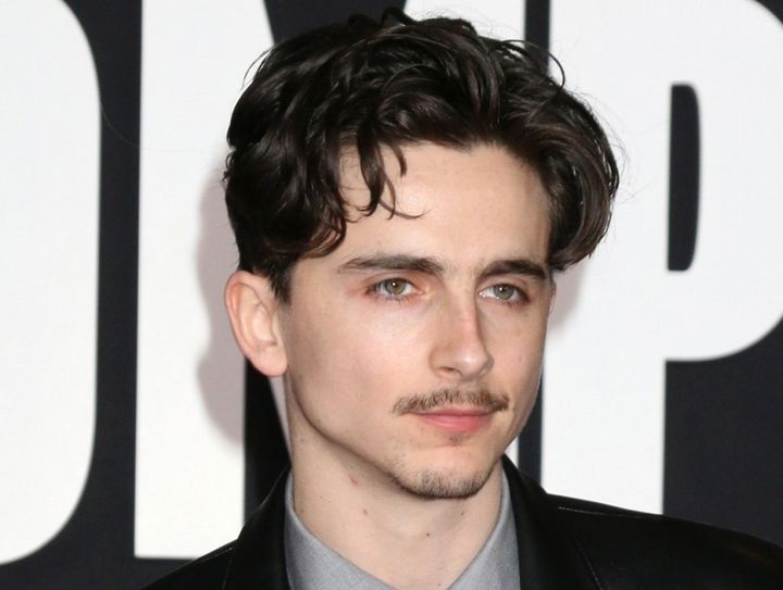 ティモシー・シャラメ、ネットで話題の覆面ラッパー本人説に意味深回答 （C）AFLO width=