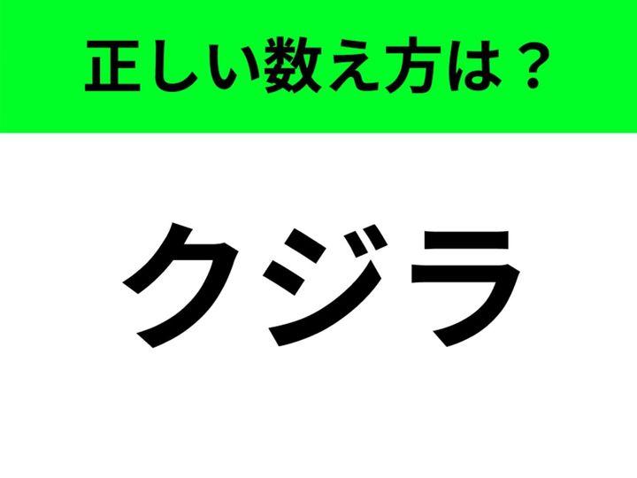 【数え方クイズ】急に聞かれても意外と答えられない？ そんな物事の数え方がクイズになりました。今回のお題は「クジラ」の正しい数え方について。