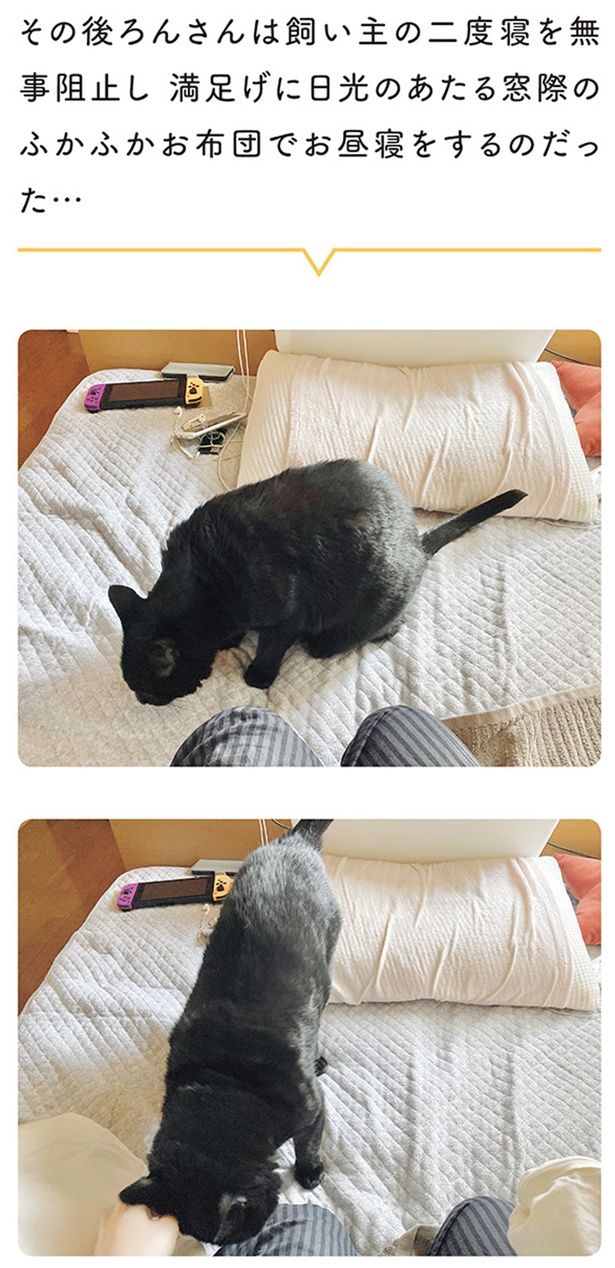 窓際のふかふかお布団でお昼寝をするのだった… （C）AKR／KADOKAWA