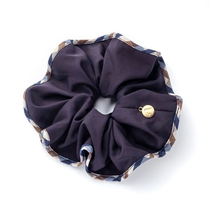 アクアスキュータム ビッグシュシュ