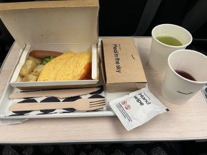 フィンエアーの旅（乗り継ぎ編）【東奔西走の旅】