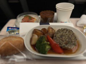 フィンエアーの旅（乗り継ぎ編）【東奔西走の旅】