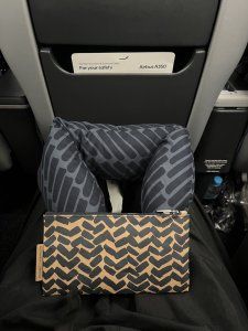 フィンエアーの旅（乗り継ぎ編）【東奔西走の旅】