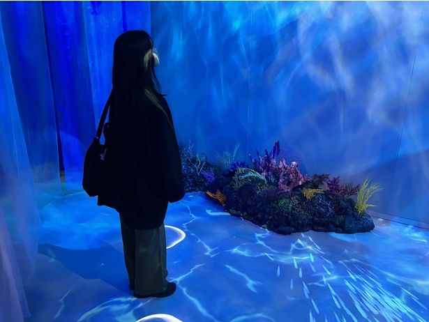 「INTO THE ATLANTIS」では深海の世界へ！見上げた先には？