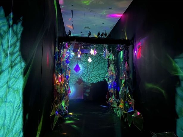 「最初の部屋」から光り輝く森の中のような空間を抜けて展示エリアへ