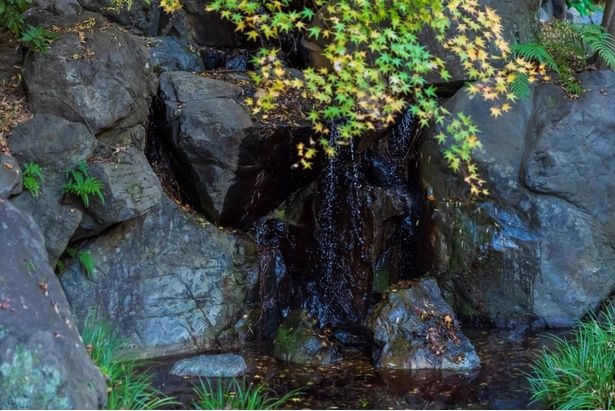 蒸溜所の敷地内に流れる山崎の水