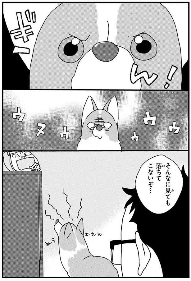 目力 (C)らくだ／KADOKAWA