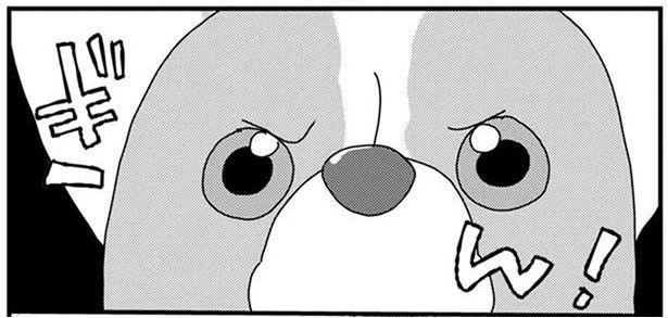 鋭い目つきでおやつを狙う愛犬に、飼い主が冷静にツッコミ！ (C)らくだ／KADOKAWA