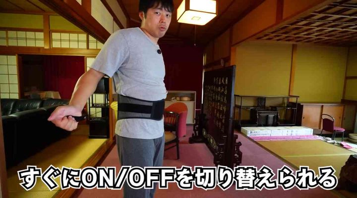 ガードナーベルト