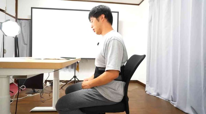 ガードナーベルト