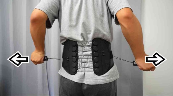 ガードナーベルト