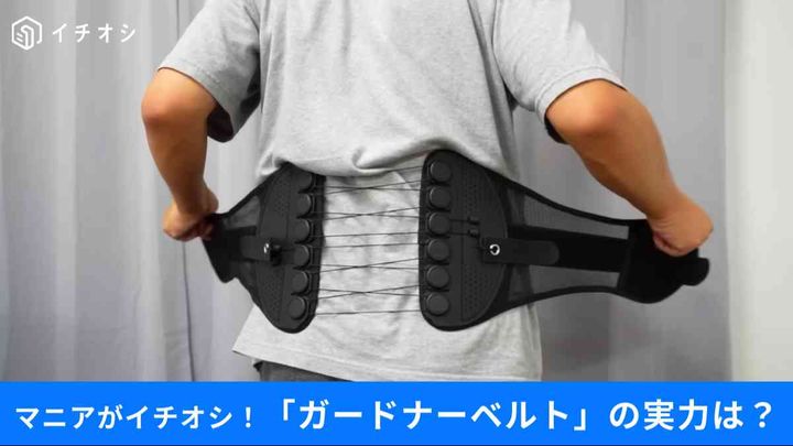 ガードナーベルト