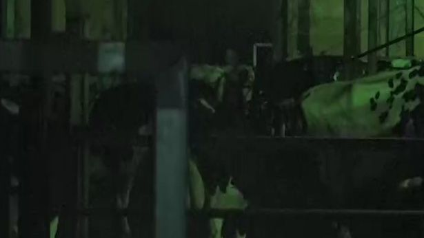 【写真を見る】「UFO」をテーマに描かれる「UFO山」 [c]テレビ東京