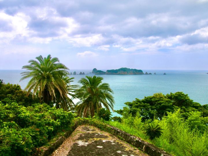 All About ニュース編集部が全国250人を対象に実施した老後に住みたい自治体に関するアンケートの調査結果から、老後に住みたい「宮崎県の自治体」ランキングを発表！ 2位「日南市」を抑えた1位は？