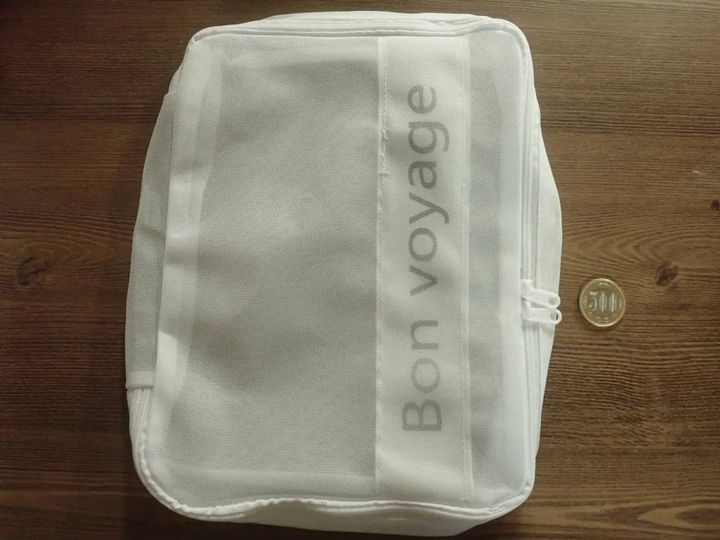 DAISO(ダイソー)：トラベル仕分け収納ケース