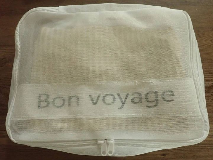 DAISO(ダイソー)：トラベル仕分け収納ケース