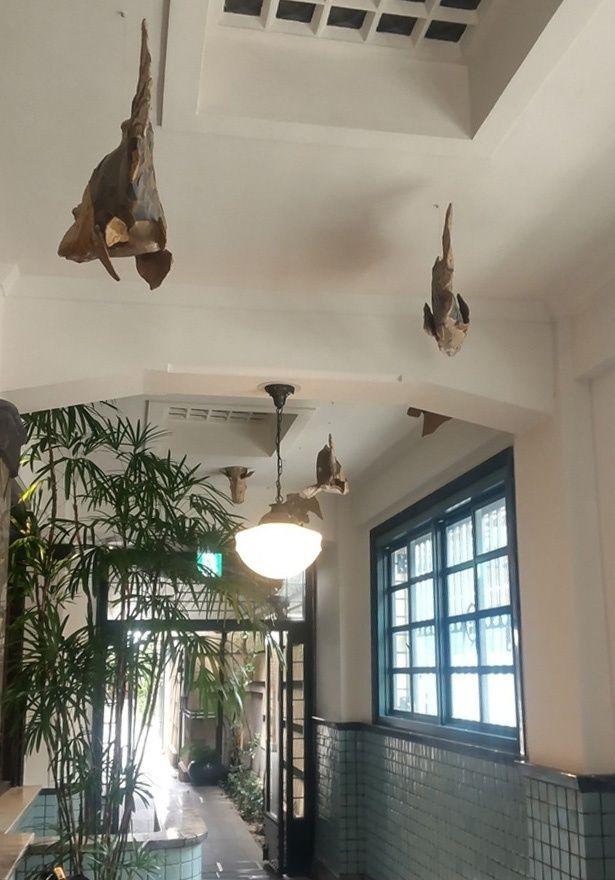 魚のオブジェは鴨川をイメージしている