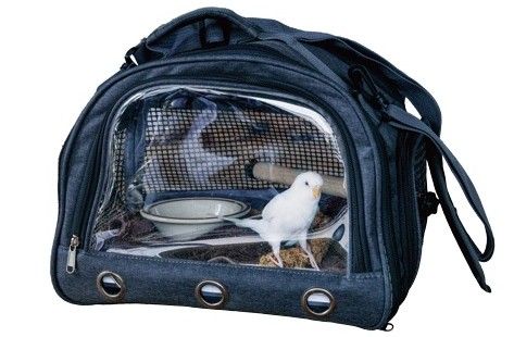 三上龍馬さんのハマりもの（愛鳥のBILLY）