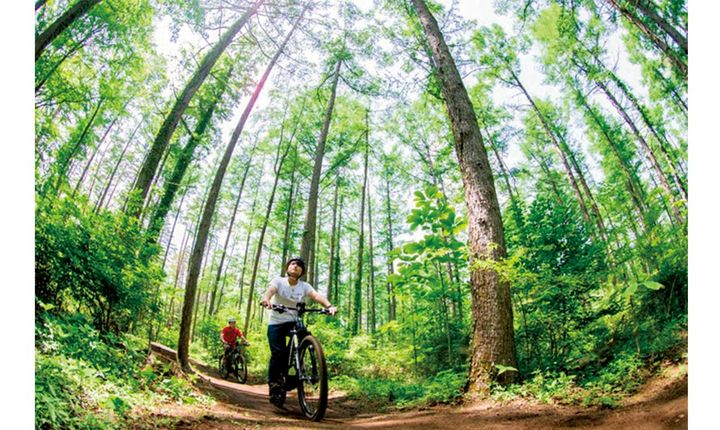 新感覚バイクを体験がしたい！｜バイクライフ計画