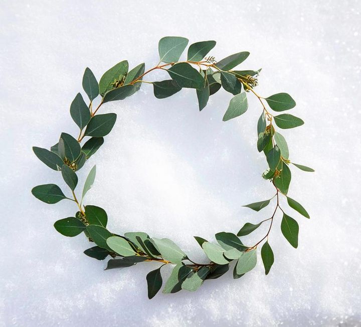 ユーカリのリース