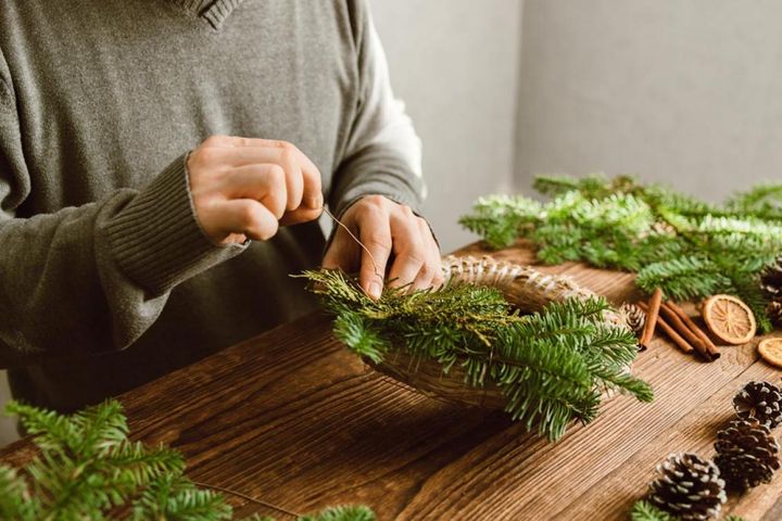 ワイヤで枝を固定