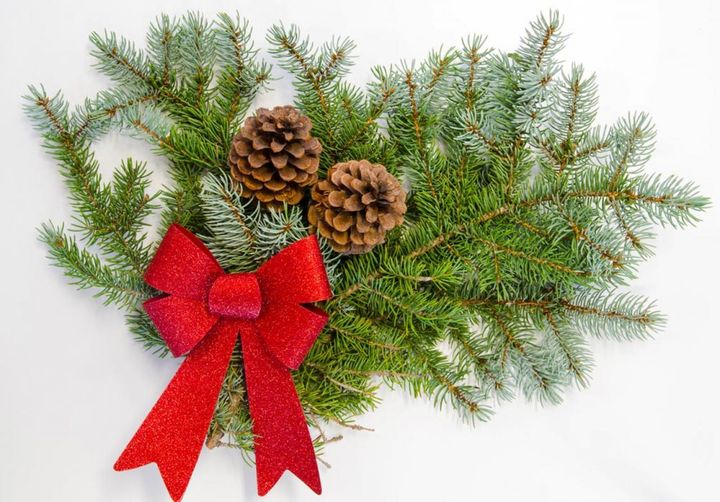 モミノキにマツボックリやリボン