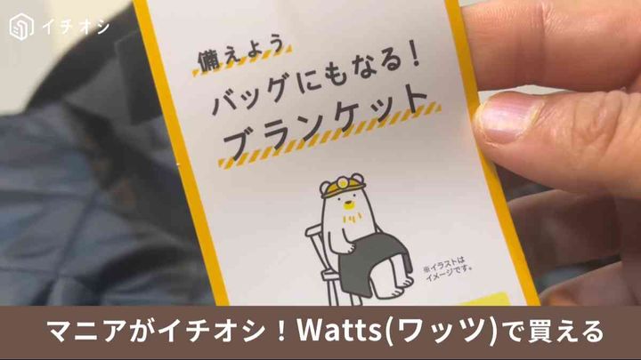 ワッツの「バッグにもなる!ブランケット」