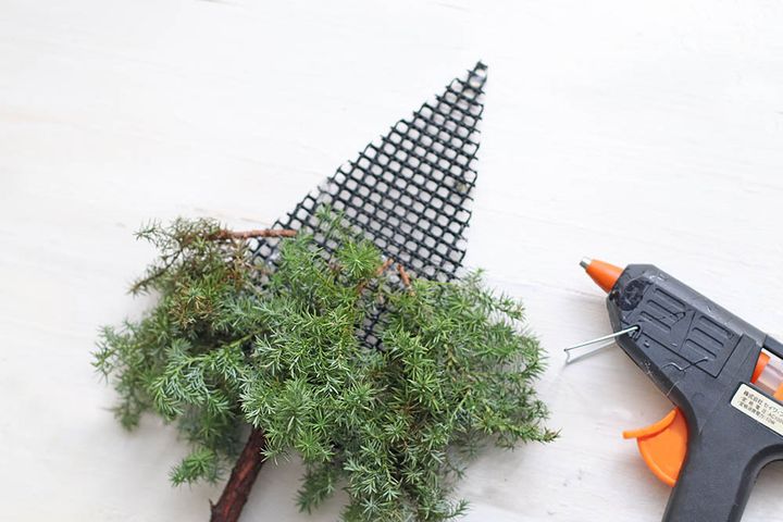 ヒムロスギをつける