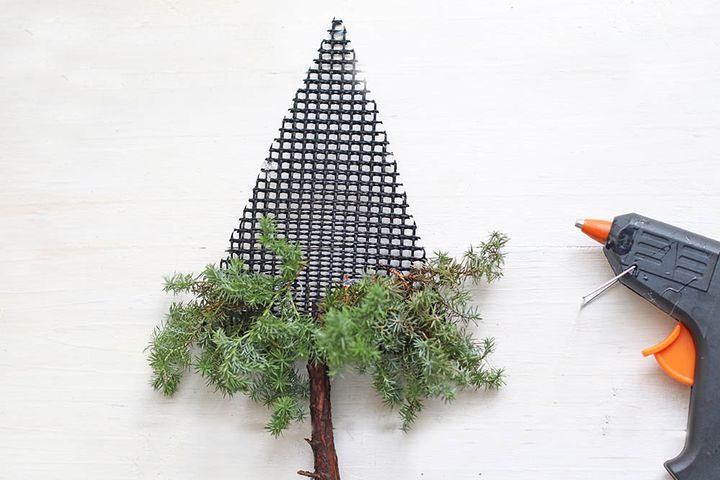 ヒムロスギをつける