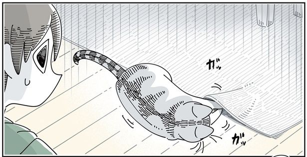 カーペットの下に… （C）キュルZ／KADOKAWA