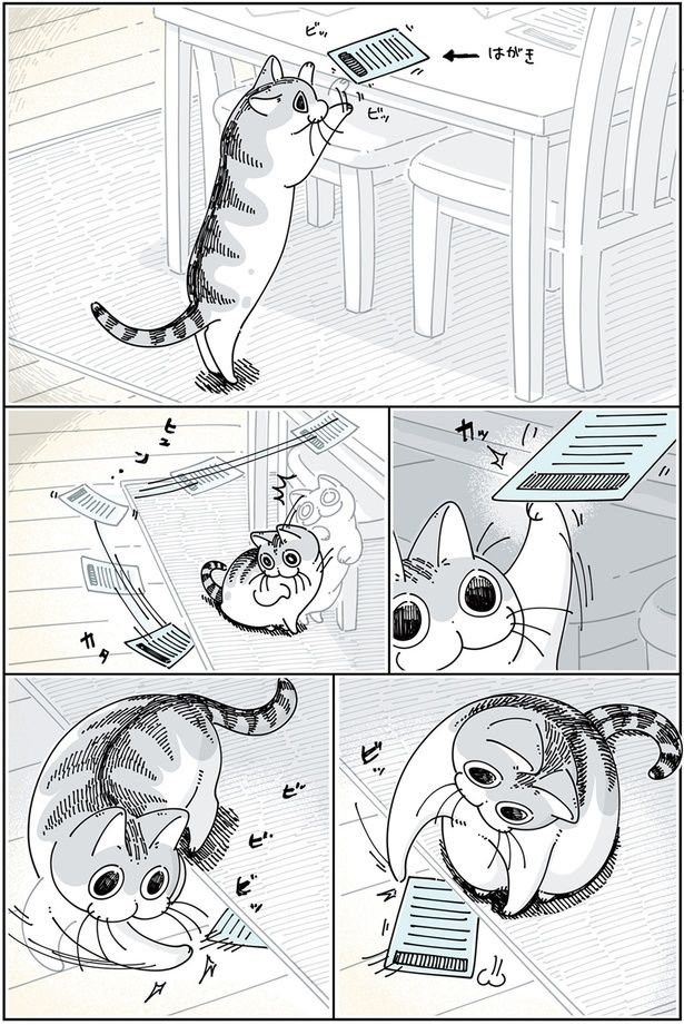 カーペットの下 （C）キュルZ／KADOKAWA