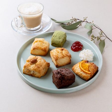 【京都府京都市】南岩本公園内の「The Paddock Cafe」で、乗馬や餌やり体験イベントを開催