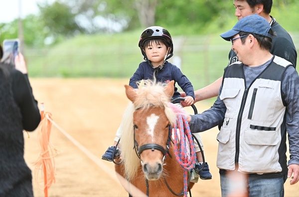 【京都府京都市】南岩本公園内の「The Paddock Cafe」で、乗馬や餌やり体験イベントを開催