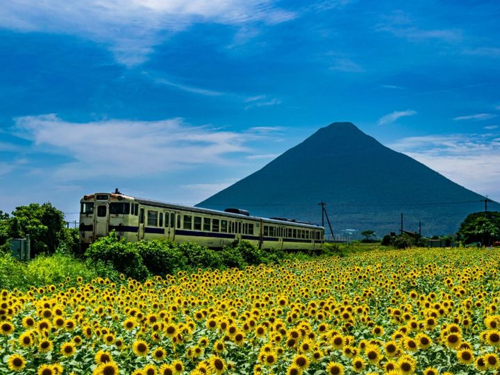 All About ニュース編集部が全国250人を対象に実施した老後に住みたい自治体に関するアンケートの調査結果から、老後に住みたい「鹿児島県の自治体」ランキングを発表！ 2位「指宿市」を抑えた1位は？