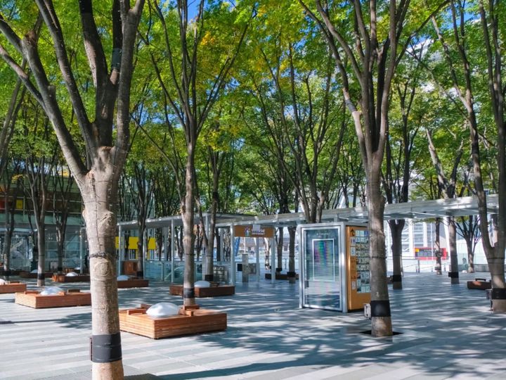 All About ニュース編集部が全国250人を対象に実施した「イルミネーションに関するアンケート」の調査結果から、好き&行ってみたい「埼玉県のイルミネーション2025」ランキングを発表！ 2位「さいたま新都心イルミネーション」を抑えた1位は？