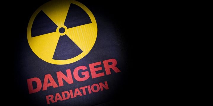 放射線耐性菌を食べたハエに起きた変化