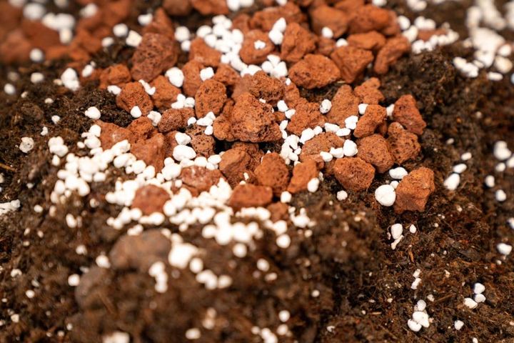 白い粒のパーライトや赤玉土を配合した用土