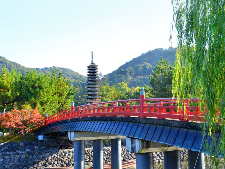 All About ニュース編集部が全国250人を対象に実施した自治体に関するアンケートの調査結果から、老後に住みたい「京都府の自治体」ランキングを発表！ 2位「宇治市」を抑えた1位は？