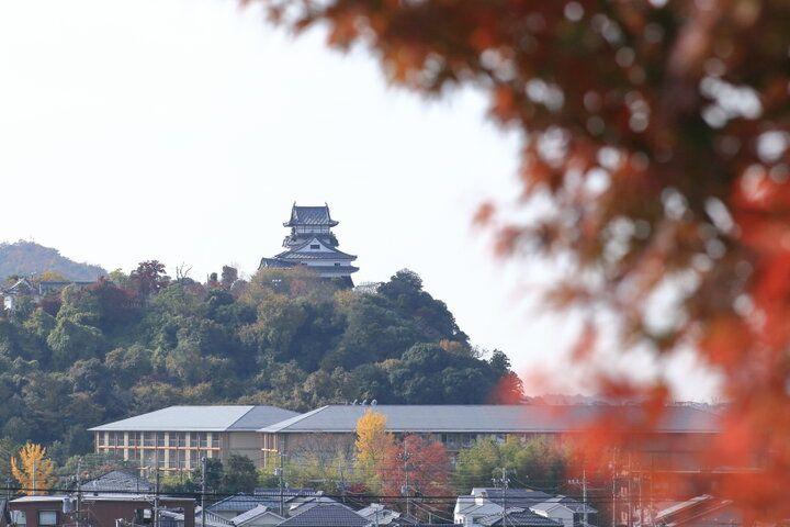 城下町に残る蔵や邸宅をリノベーション。犬山の歴史と共に過ごせる「宿-SHUKU-」で特別な宿泊体験を