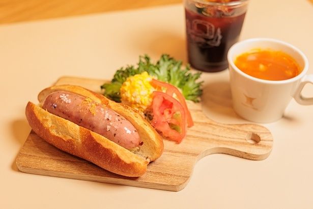 3ソルティドッグ