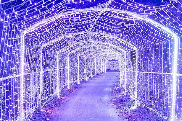 全長150メートルの「光の大トンネル」。360度イルミネーションに囲まれたトンネルは、光の中に吸い込まれていくような感覚になる 【提供画像】