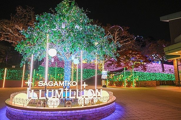 「ウェルカム広場」の奥には「光の花畑」が広がる。イルミの共演で来場者を迎えてくれる