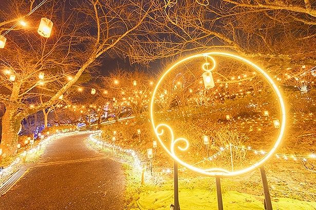 ゆらゆらランタンが揺れる「光の森」。暖色系のイルミにほっこり癒やされる 【提供画像】