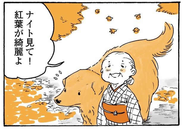 ナイト見て！紅葉が綺麗よ （C）佐倉イサミ／KADOKAWA